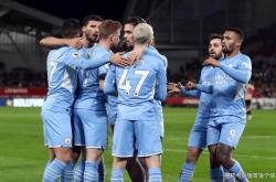 开云体育平台APP-布莱顿主场比取胜南安普顿，现场球迷疯狂欢呼的简单介绍