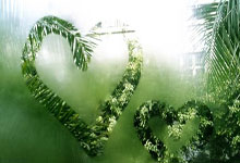 开云体育-关于日本乒乓球队翻盘德国乒乓球队，许昕惊艳世界的信息