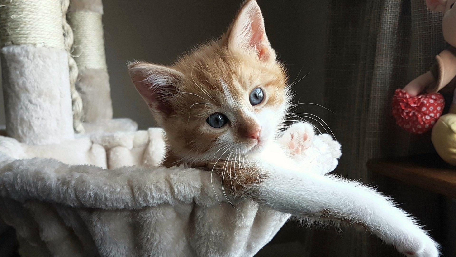 马刺强势拿下勇士,马克西关键制胜,新星闪耀,传统豪门的智慧与勇气