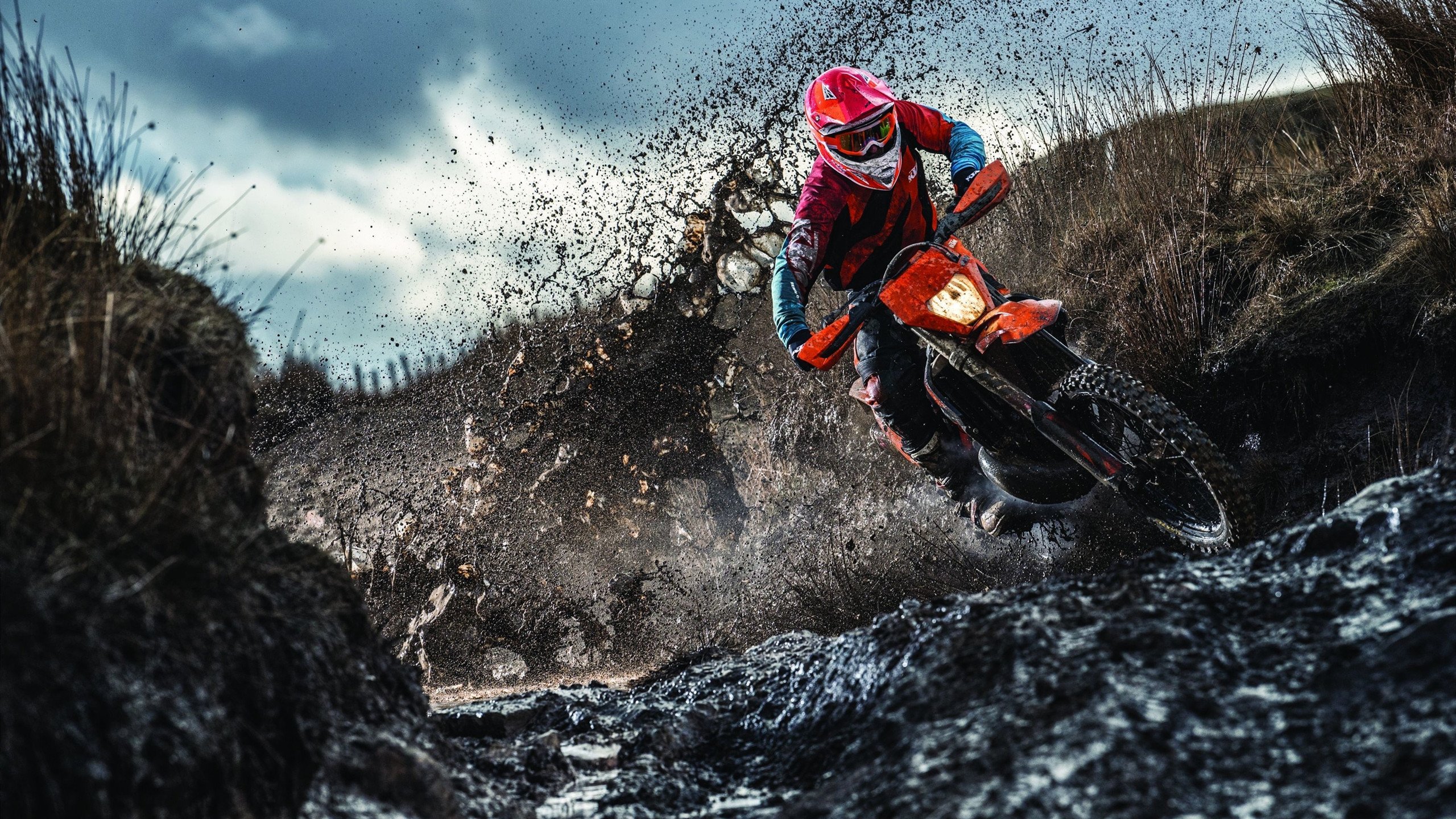 森林狼对阵深圳队，米切尔持续制造杀伤背后的战术密码